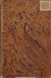 Luisa ó el ángel de redención