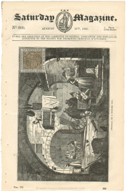 The Saturday Magazine