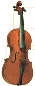 Violín